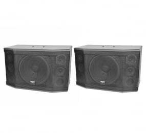 Loa Paramax Pro-C12