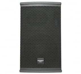 Loa Paramax Pro-S10