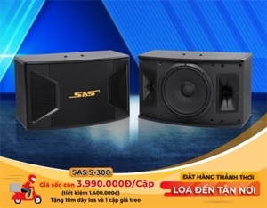 Loa Paramax SAS S-300 NEW