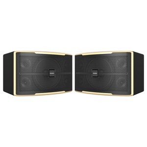 Loa Paramax Z-2500