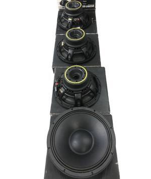 Loa P.Audio GM12-100N