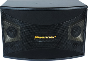 Loa Peenner PS-990