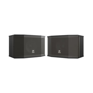 Loa P'SOUND S-2025