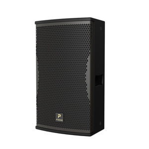 Loa P'Sound S-3030