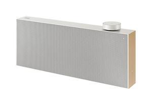 Loa Samsung AKG VL551