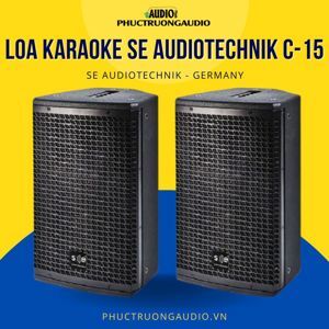 Loa SE Audiotechnik C15