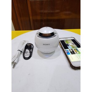 Loa Sony SRS-X1