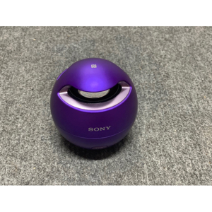 Loa Sony SRS-X1