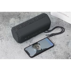 Loa Sony SRS-XE200