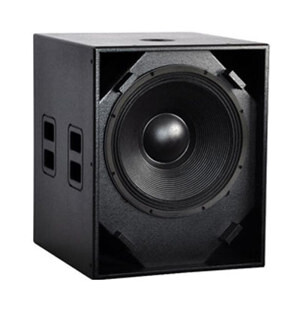 Loa sub audio AAP ASW 118