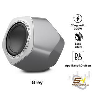Loa sub B&O Beolab 19