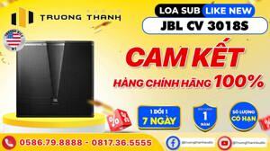 Loa Sub JBL CV3018S