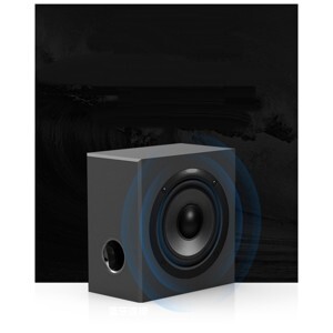 Loa Sub Subwoofer S1