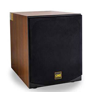 Loa subwoofer CAVS 450E