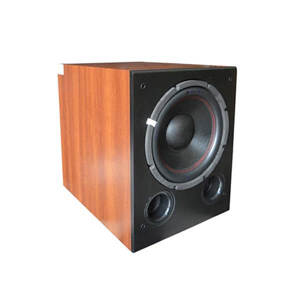 Loa Subwoofer CAVS SA-612