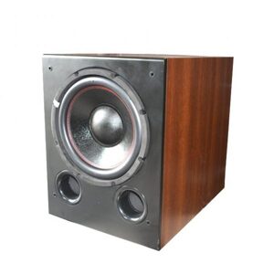 Loa Subwoofer CAVS SA-612