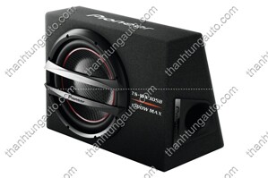 Loa Subwoofer Pioneer TS-WX305B