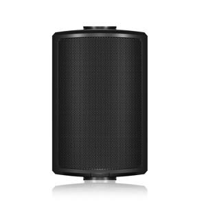 Loa Tannoy AMS 5DC