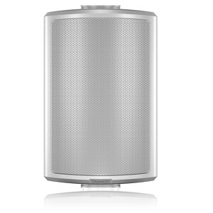 Loa Tannoy AMS 5DC