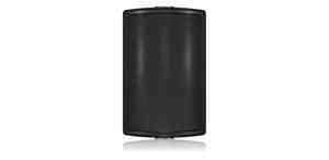 Loa Tannoy AMS 6DC