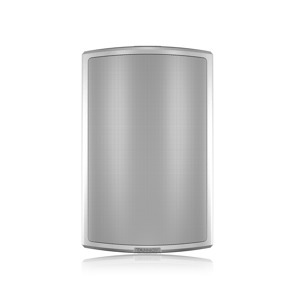 Loa Tannoy AMS 8DC