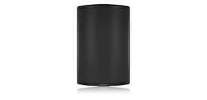 Loa Tannoy AMS 8DC