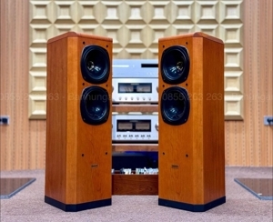 Loa Tannoy D500