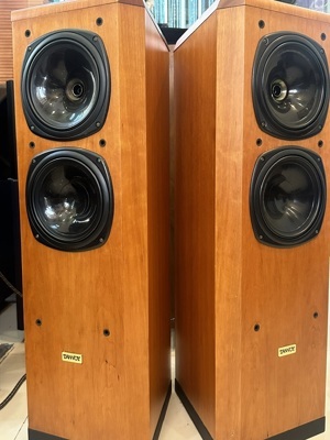 Loa Tannoy D500