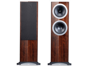 Loa Tannoy DC-10-Ti