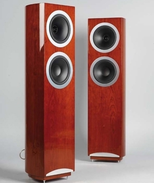 Loa Tannoy DC 10T