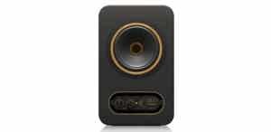 Loa Tannoy Monitor Gold 5