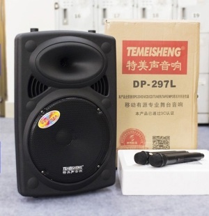 Loa Temeisheng 297L (DP-297L)