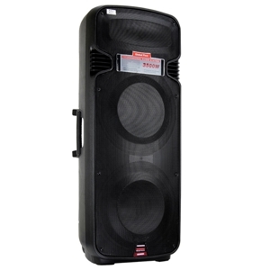 Loa Temeisheng A65
