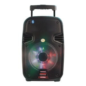 Loa Temeisheng SL-07