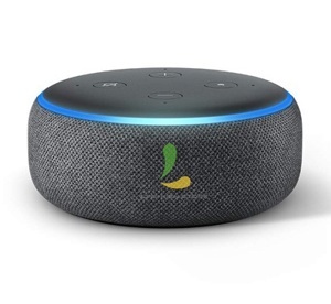 Loa thông minh Amazon Echo Dot 3