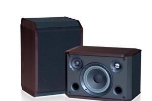 Loa Torimy RT-700