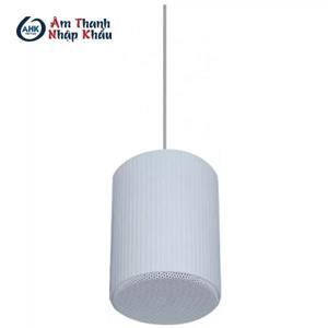 Loa treo trần OBT 202