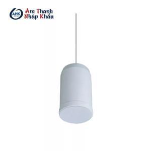 Loa treo trần OBT 203