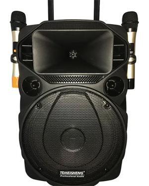 Loa vali kéo di động Bluetooth Temeisheng A12-21