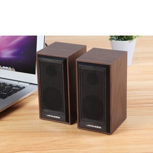 Loa vi tính Lenrue V2200