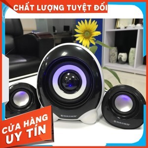 Loa vi tính Nasun NS-803