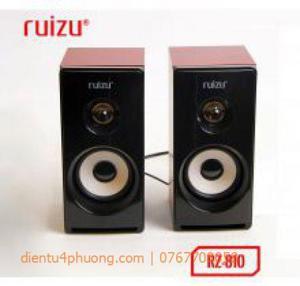 Loa Ruizu RS-810