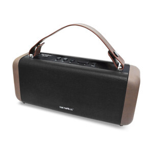 Loa vi tính Soundmax SB-206