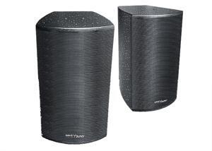 Loa WAVEYOUNG PS-803