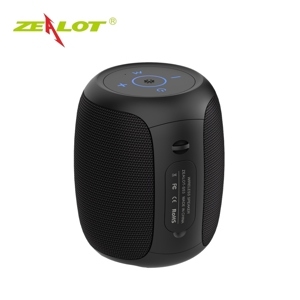 Loa Zealot S53