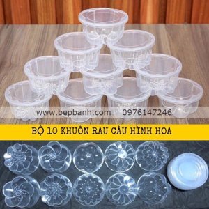 Lốc 10 khuôn rau câu có nắp đậy nhựa Hofaco HPB110