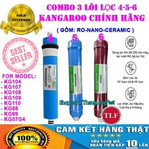 Lõi Nano Silver số 4