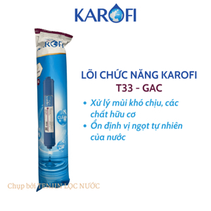 Lõi tạo khoáng chất làm ngọt nước T33 (lõi số 5)