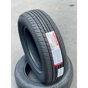 Lốp ô tô Deestone 195/65 R15 R301