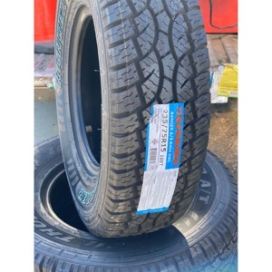 Lốp ô tô Deestone 235/75 R15 R404